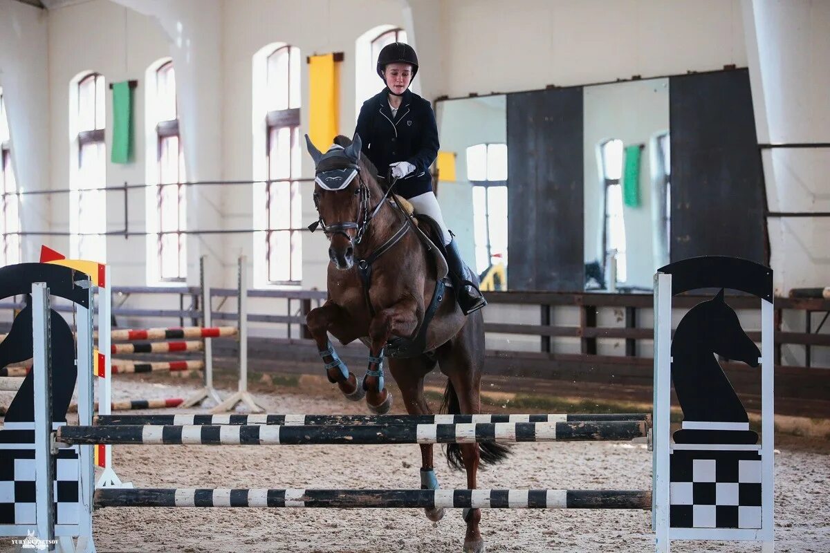 Конный спорт институт. КСК Фаворит Воскресенка. КСК Фаворит Анапа. КСК Фаворит Владивосток. Конный спорт Фаворит в Подольске.