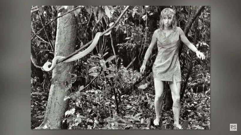 Нашли девушку в джунглях. Исчезновение лиссан и крис. Нашли девушку в джунглях. Пропавшие крис кремерс и лисанн фрон. Нашли девушку в джунглях.