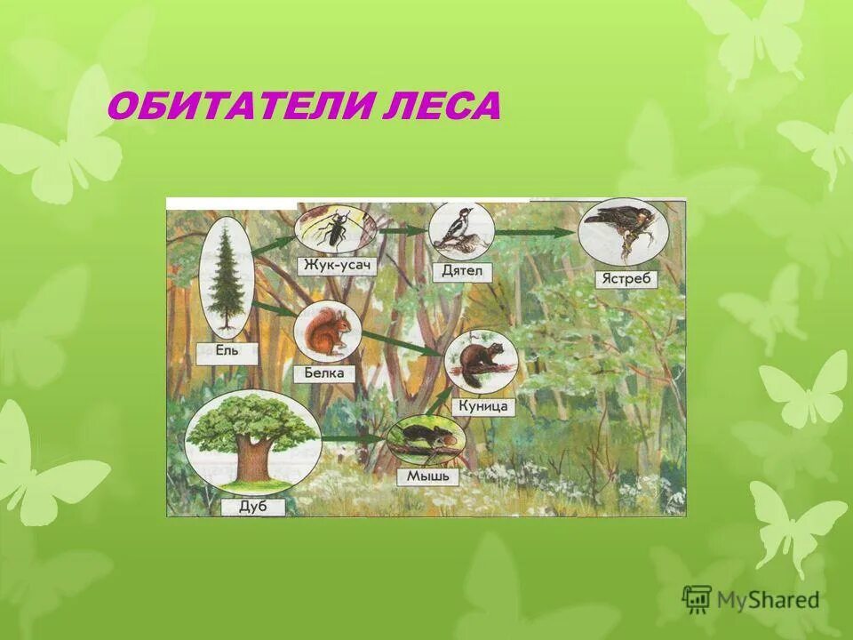 общение окружающий мир 2 класс. общение 2 класс. окружающий мир 2 класс тема общение. памятка правила общения. окружающий мир 2 класс тема общение.