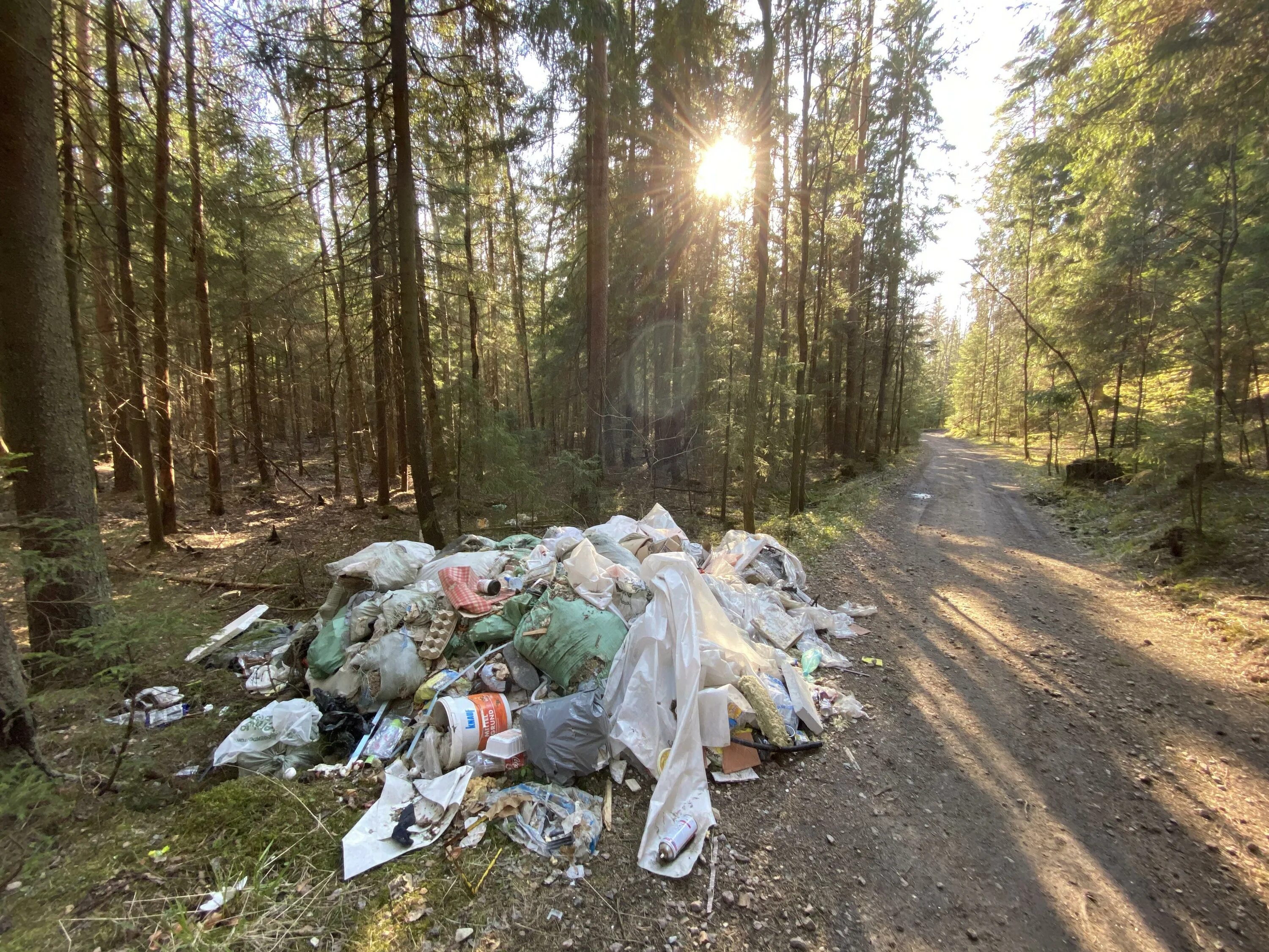 Жалкое место. Загрязнение леса.