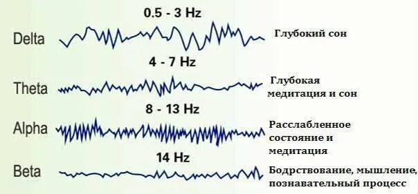 Тета волны. Альфа волна и тета волна. Тета волны человек. Мозговые волны визуализация.