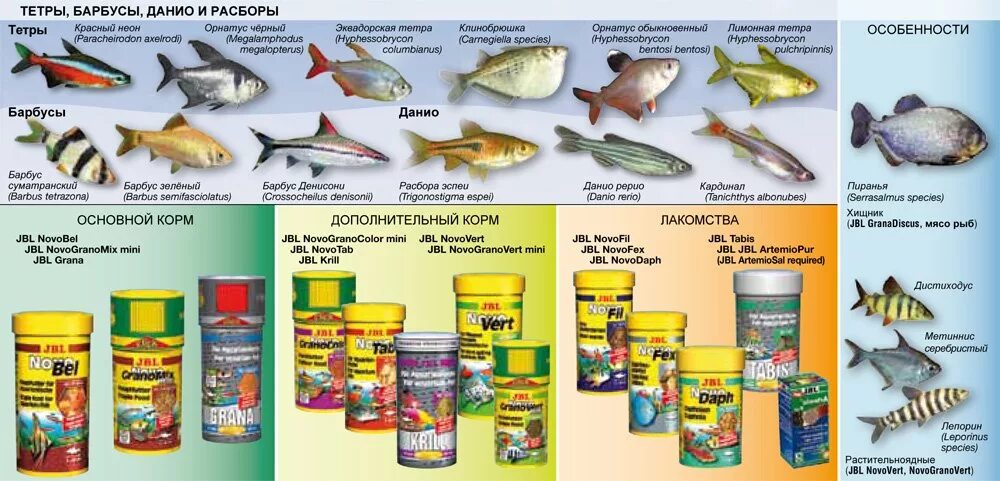 Аквариумные рыбки какой корм. Корм для рыбок аквариумных. Питание аквариумных рыбок. Корм для рыб название. Название корма для аквариумных рыбок.