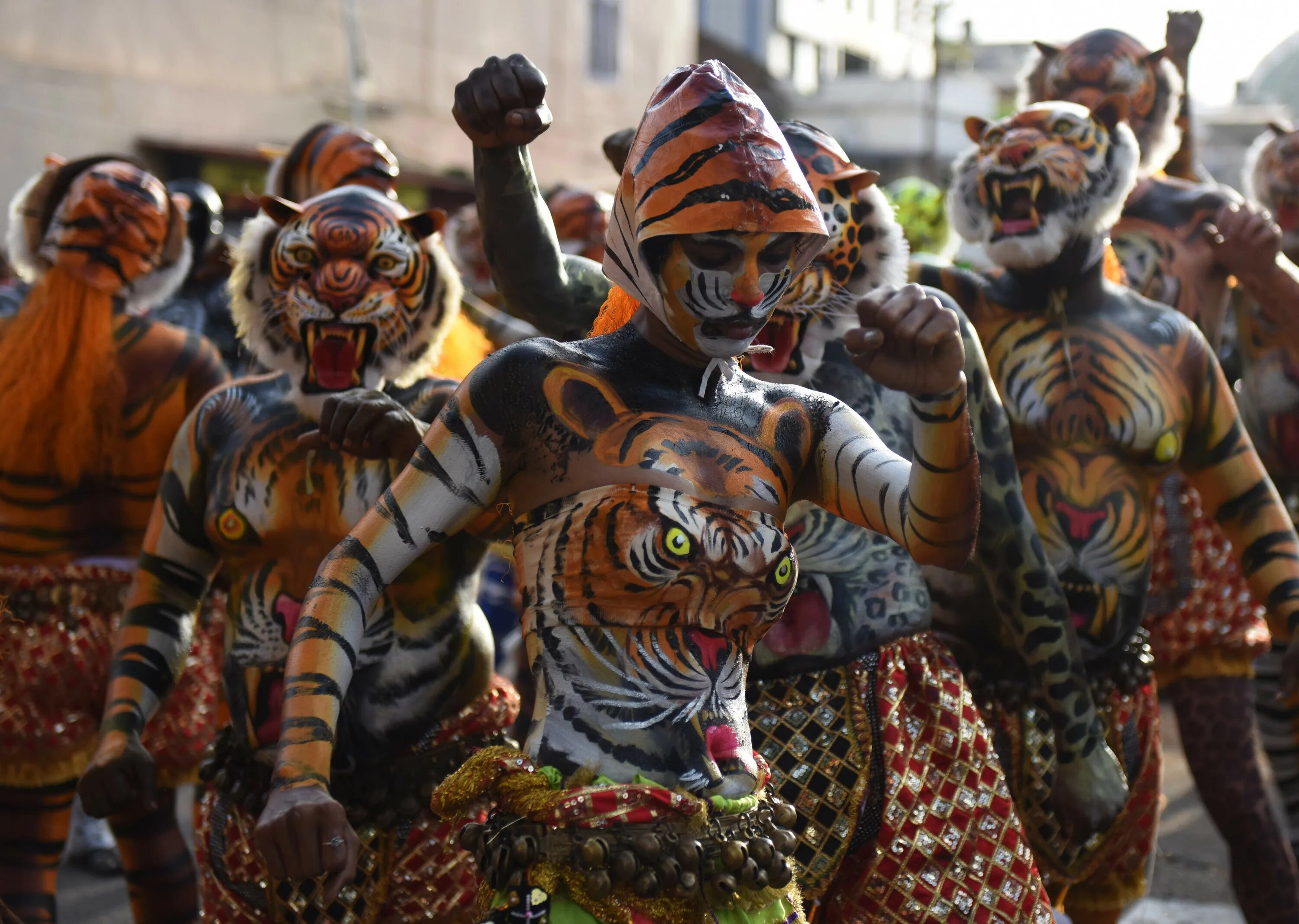 Ракшаси кто это в индии. Танец тигра в Индии. Фестиваль тигров Индия. Праздник тигра в Индии. Тигрица в Индии.