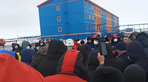 Сабетта работа