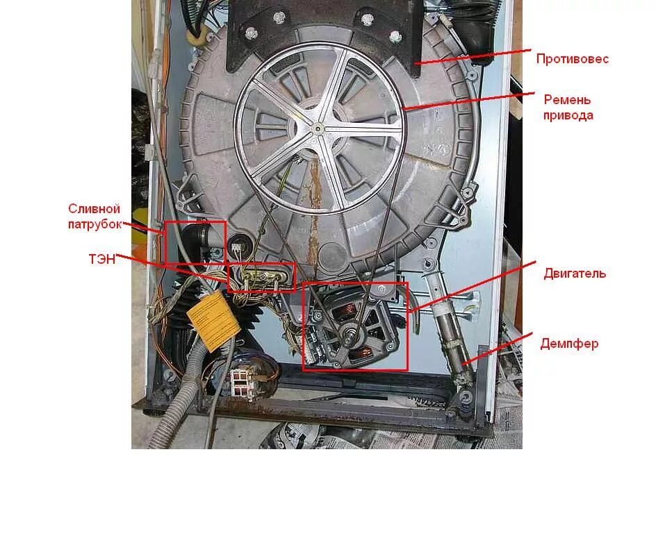 Как разобрать стиральную машину с вертикальной загрузкой. Electrolux EWS 800 подшипник барабана. Устройство барабана в вертикальной стиральной машине Электролюкс. Датчик позиционирования барабана стиральной машины Электролюкс. Устройство барабана машины Электролюкс ews8012w.