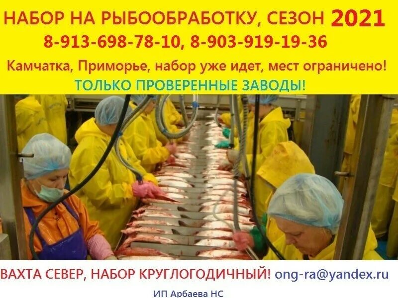 Проходчик вахта. Рыбообработчик вахта камчатка. Рыбный завод на камчатке вахтовым методом. Вакансии на работу на камчатке вахтовым методом. Камчатский тихоокеанский флот завод рыбообработчик.