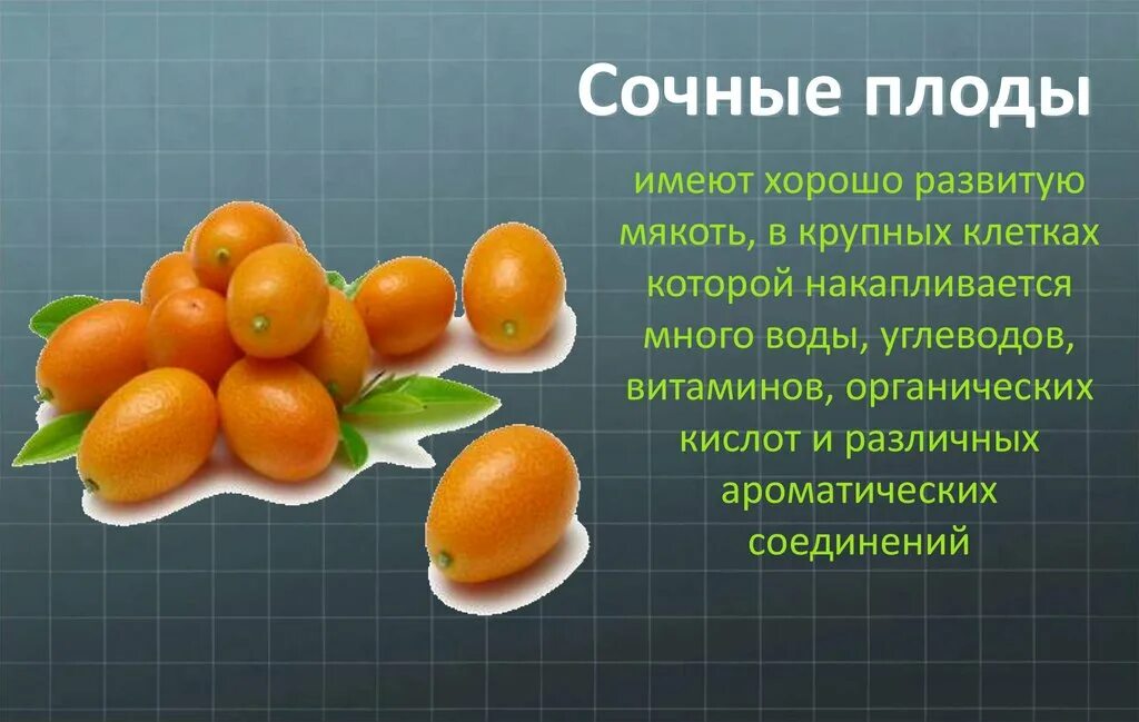 Что называют плодом. Сочные плоды. Плоды растений. Плоды презентация. Простые сочные плоды.