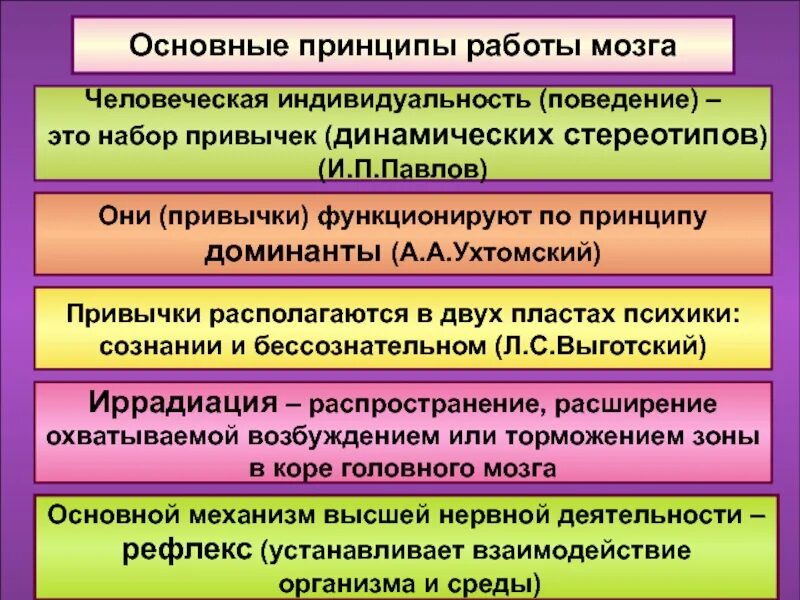 Принципы деятельности мозга. Принципы работы мозга. Основные принципы работы мозга. Общие принципы функционирования мозга человека. Принцип работы человеческого мозга.