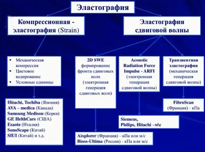 Компрессионная эластография щитовидной железы. Эластография сдвиговой волны печени. Ультразвуковая эластография печени сдвиговой волной. Протокол компрессионной эластографии печени.