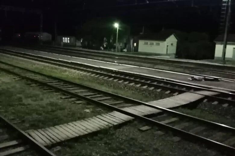 Поезд 23 апреля. Грузовой поезд насмерть сбил. Грузовой поезд сбил мужчину.
