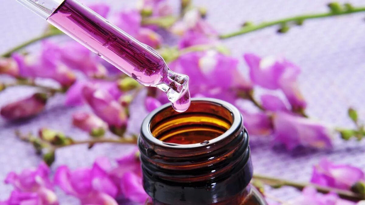 The flower essence conference. Герань ароматотерапия. Essence flowers. Эфирное масло герань ароматерапия. Цветочный запах.