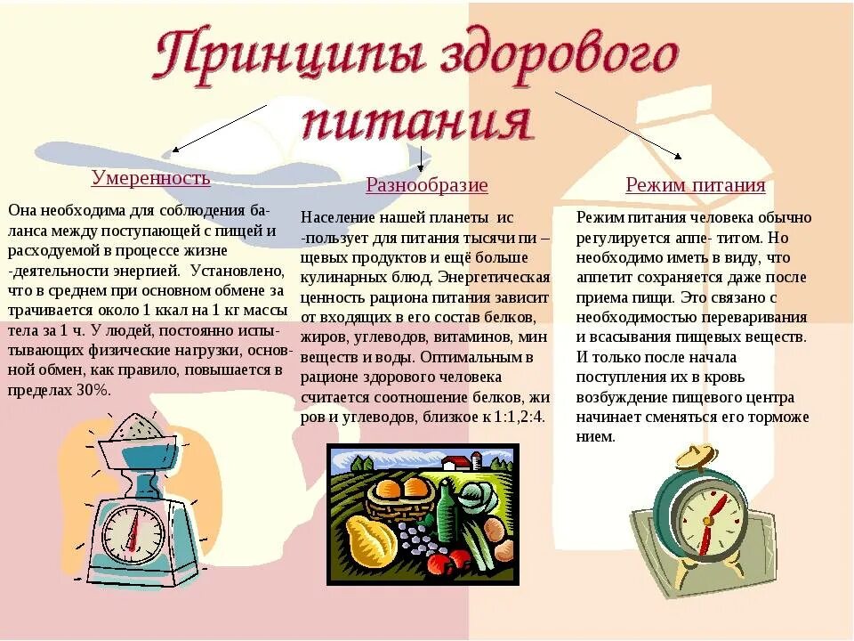 Принципы правила здорового питания