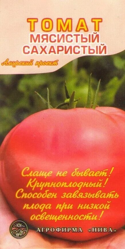 Томат мясистый сахарный семена. Томат мясистый сахаристый. Мясистый сахаристый томат отзывы описание сорта характеристика. Мясистый сахаристый томат описание. Сорт томатов мясистый сахаристый.