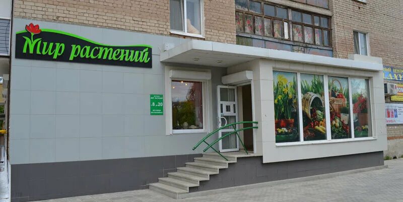 мир растений новотроицк. магазин природа. новотроицк центр. картинки благоустройство клумбы. растения новотроицка.