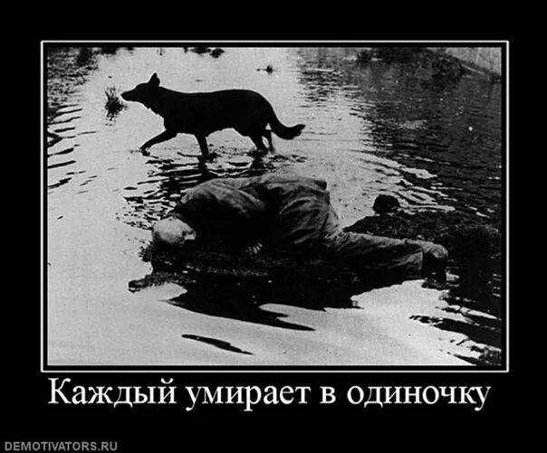 Демотиваторы одиночка. Будь сильным в одиночку. Одиночка прикол. Демотиваторы про слабых и сильных.