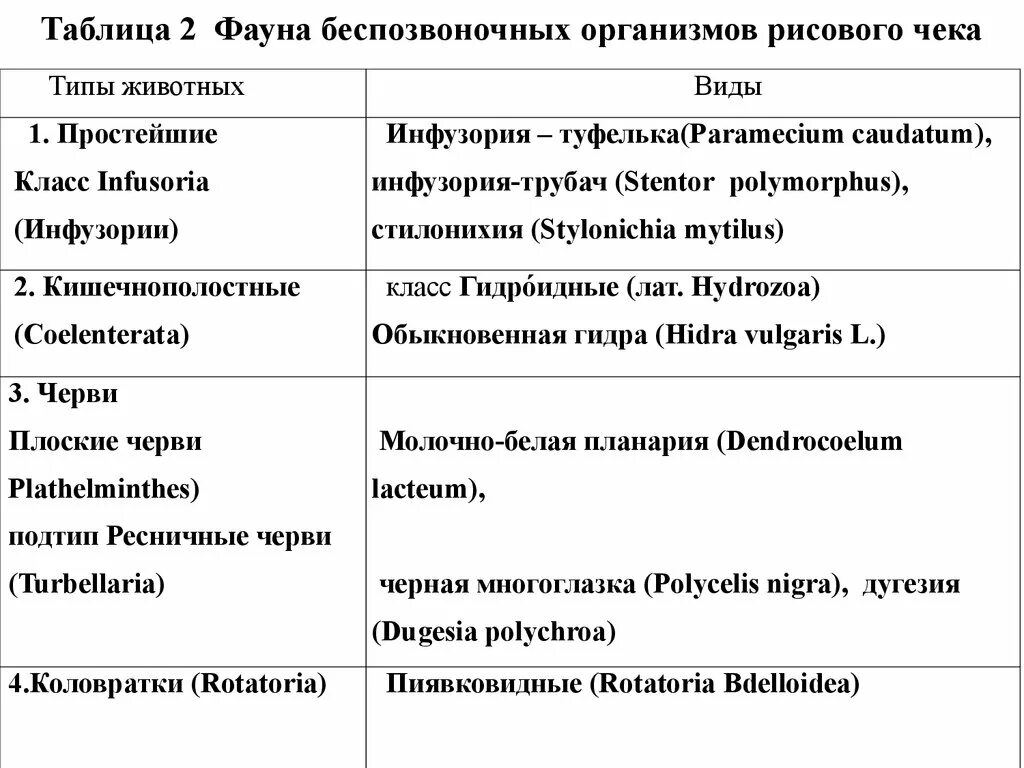 Таблица беспозвоночных. Сравнение беспозвоночных таблица. Сравнительная таблица безпозв. Таблица беспозвоночных животных. Класс беспозвоночные таблица