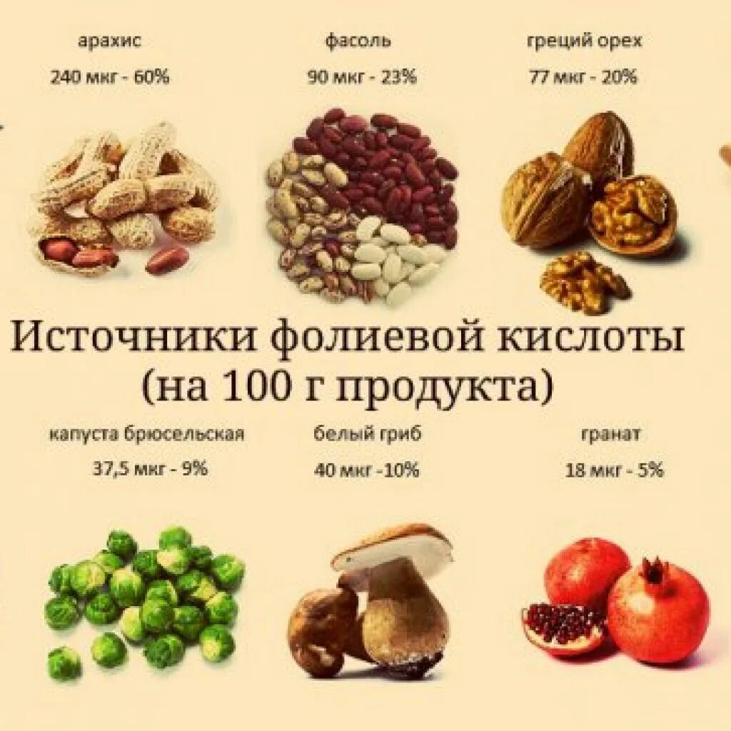 Сколько надо фолиевой кислоты. Источники витамина в9 в продуктах питания. Фолиевая кислота витамин в9. Б9 фолиевая кислота продукты. В9 фолиевая кислота источники.