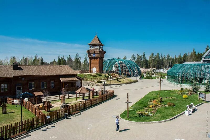 Ижевский зоопарк Ижевск. Ижевск парк зоопарк. Государственный Зоологический парк Удмуртии. Зоопарк в Ижевске башни. Сайт зоопарка ижевска