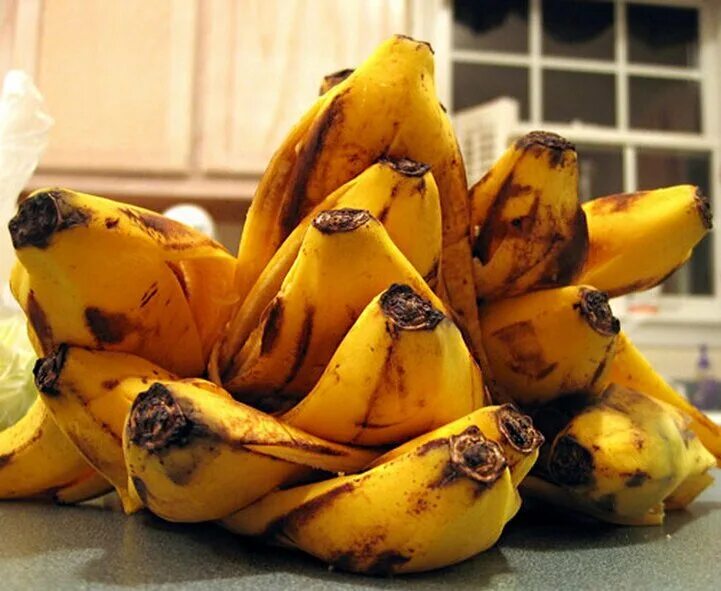 Рецепт банановой кожуры. Банановая кожура. Удобрение из кожуры банана. Шкурка банана. Банановая кожура удобрение.