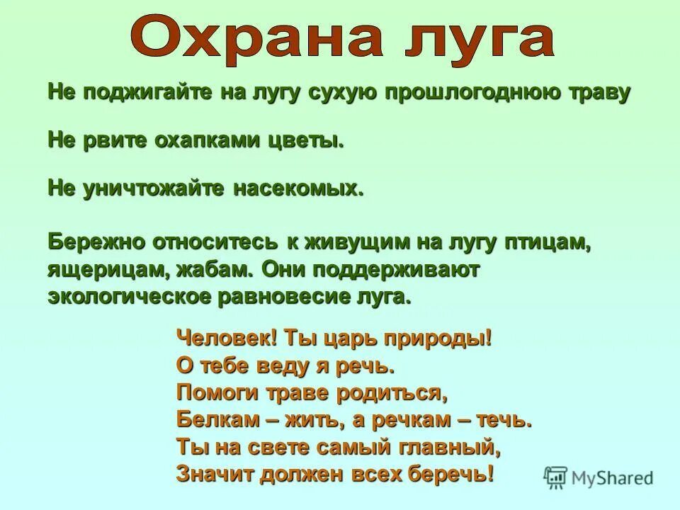 луга и человек 4 класс окружающий мир. роль луга для человека. сообщение жизнь луга. значение луга для человека. луга и человек 4 класс окружающий мир.