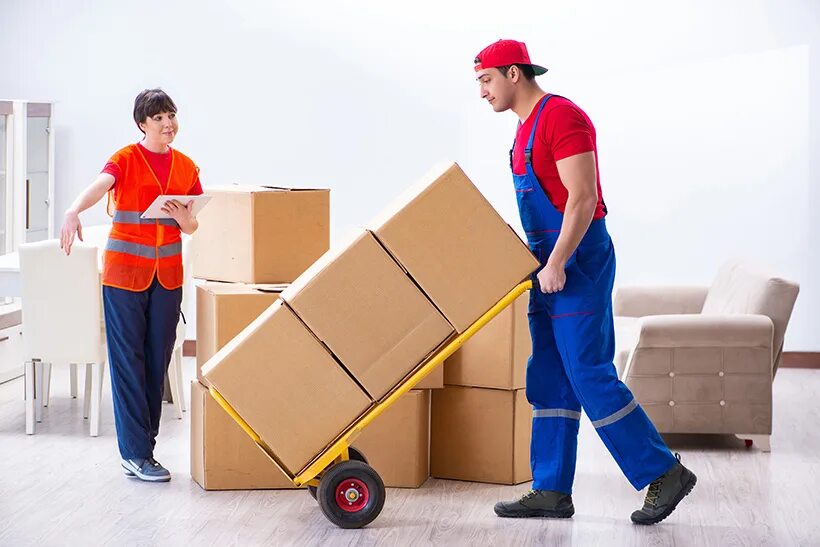 Workers load. Профессиональные грузчики. Квартирный переезд. Рабочий грузчик. Грузчик строительных материалов.