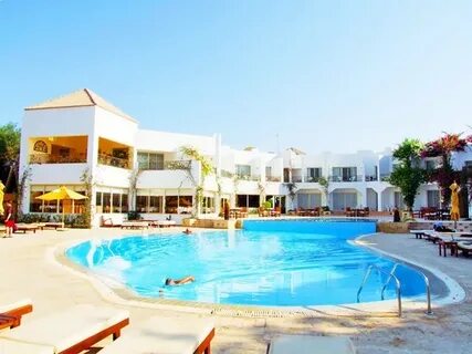 Grand halomy resort отзывы