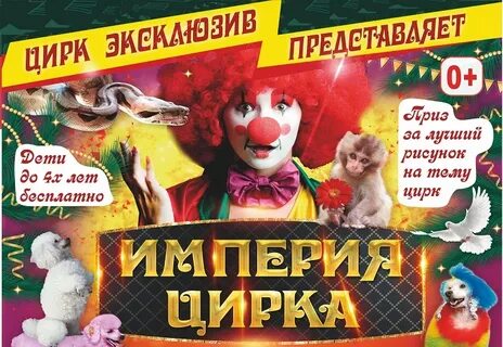 Афиша цирка на 2024 год