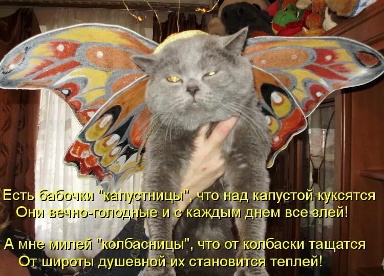Надоело быть правильным