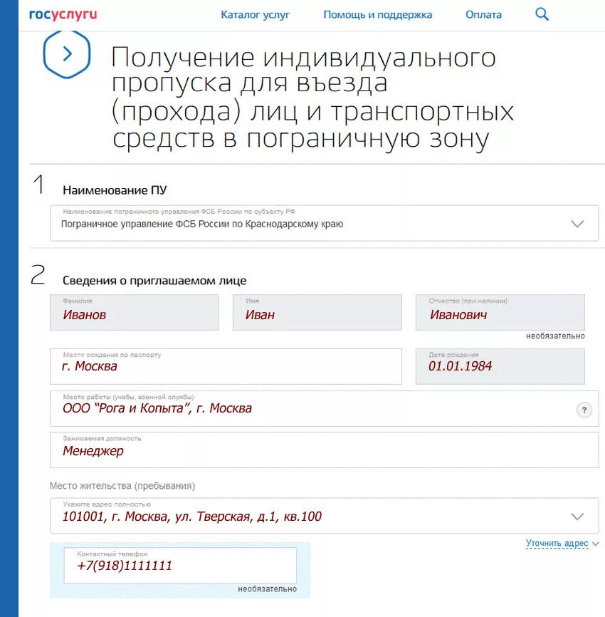 Данные необходимые для пропуска. Пример заполнения пропуска. Госуслуги бланки. Заявление на получение пропуска. Заявка на оформление пропуска.