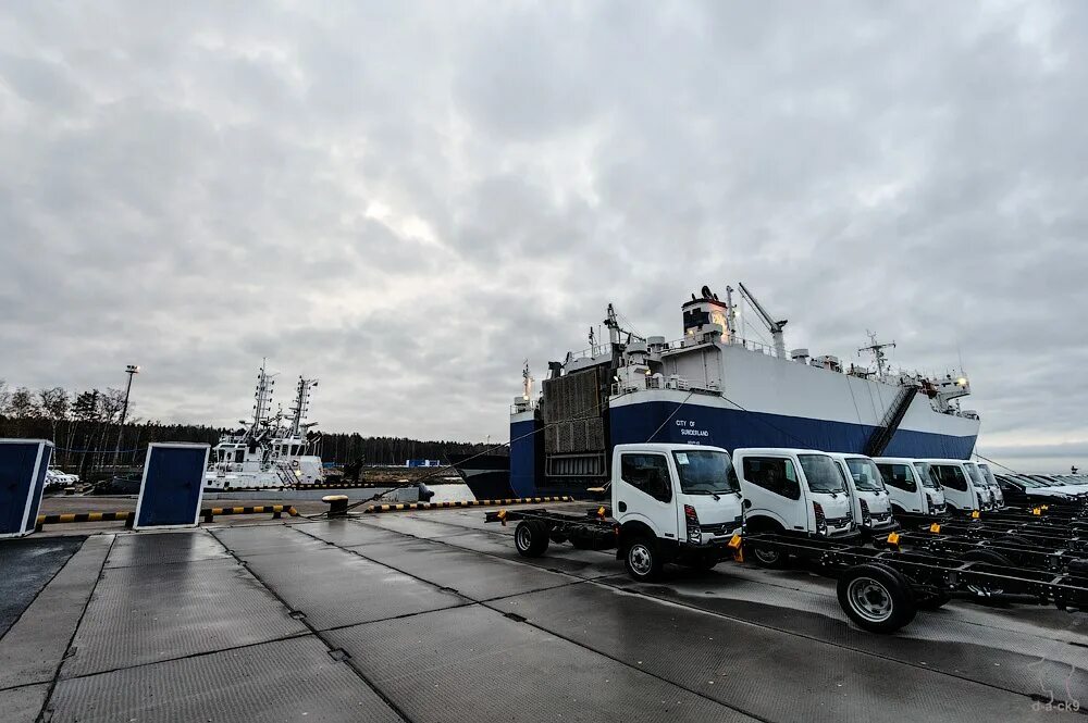 Усть луга вакансии водителем. Усть луга вакансии водителем