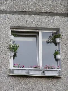 Цветы на окне или на окно