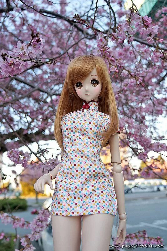 Макияж для фигмы. Барби фашионистас 182. Sailor moon volks dollfie. 52 долл. 52 долл.