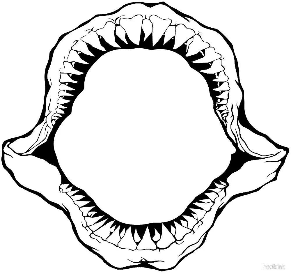 Слово пасть. Челюсть акулы эскиз. Тату эскиз челесьб акулы. Эскиз тату челюсть акулы.