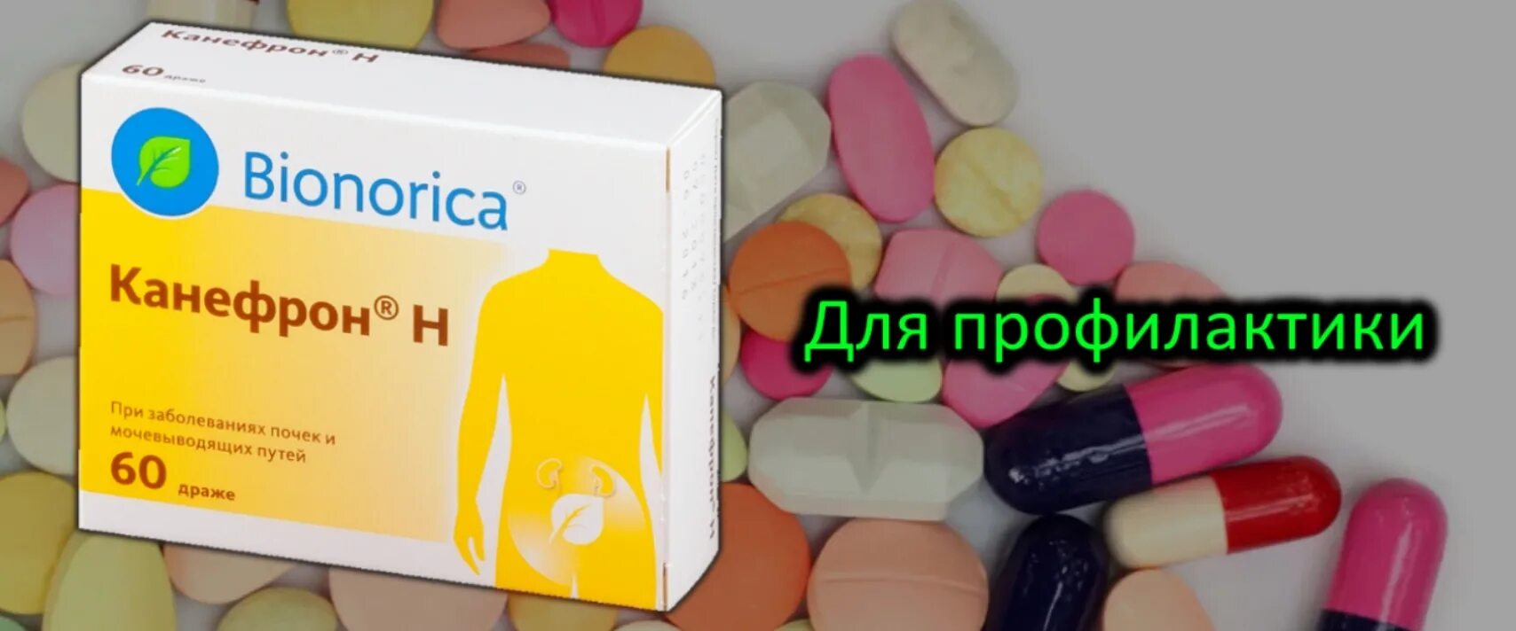 Можно ли пить канефрон при цистите. Канефрон профилактика для почек. для почек лекарство профилактика канефрон. канефрон детям для профилактики. канефрон при профилактике.