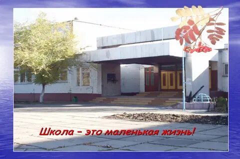 9 школа димитровград сайт