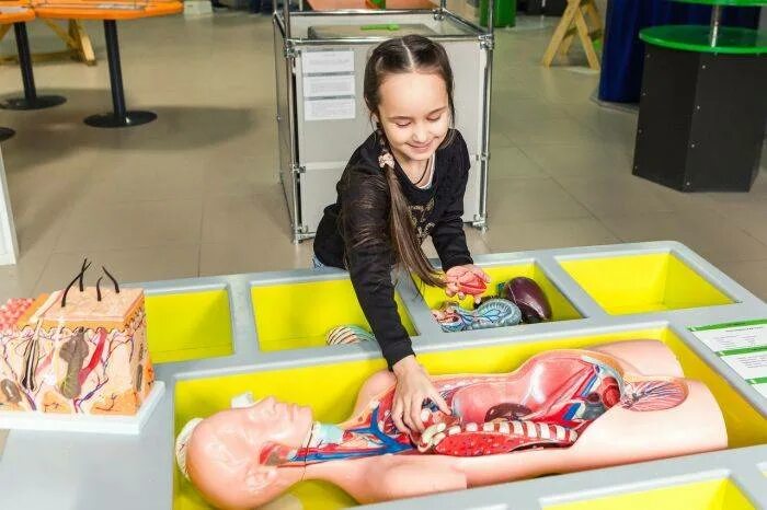 Пермь сходить с детьми. Выставки и развлечения для детей в перми. выставки для детей пермь. куда сходить с ребенком в перми. куда сходить с ребенком на каникулах пермь.