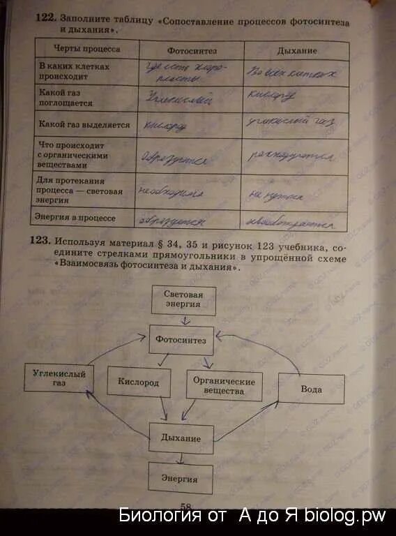 Биология 6 класс фотосинтез ответы на вопросы. Процесс фотосинтеза и дыхания таблица. Фотосинтез дыхание растений 6 класс биология. Дыхание растений 6 класс биология таблица. Таблица по фотосинтезу и дыханию 6 класс.