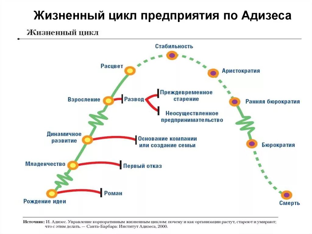 Анализ цикла организации. Ицхак Адизес стадии жизненного цикла организации. Этапы жизненного цикла организации по Айзеку Адизесу. Адизес этапы жизненного цикла организации. Модель жизненного цикла компании по Адизесу.