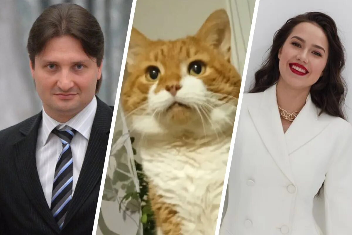 кот кузя из северодвинска. коте кузе из северодвинска. памятник кузе северодвинск. коте кузе из северодвинска.