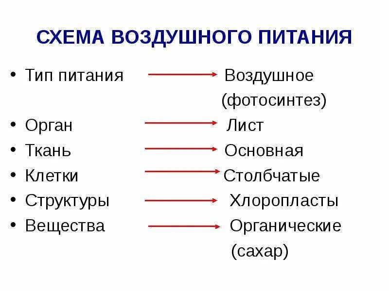 Лист является органом воздушного питания. Воздушное питание растений фотосинтез схема. лист орган воздушного питания. схема воздушного питания. процесс воздушного питания растений.