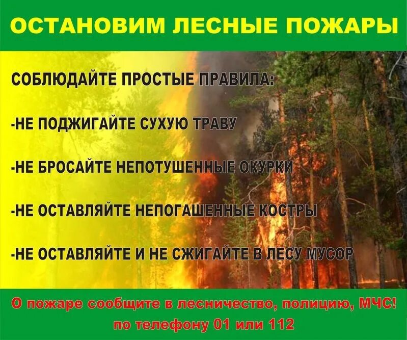 Меры по предотвращению природных пожаров. Профилактика лесных пожаров. предотвращение пожара в лесу. предупреждение пожара в лесу. профилактика при лесном пожаре.