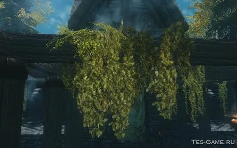 Skyrim plants