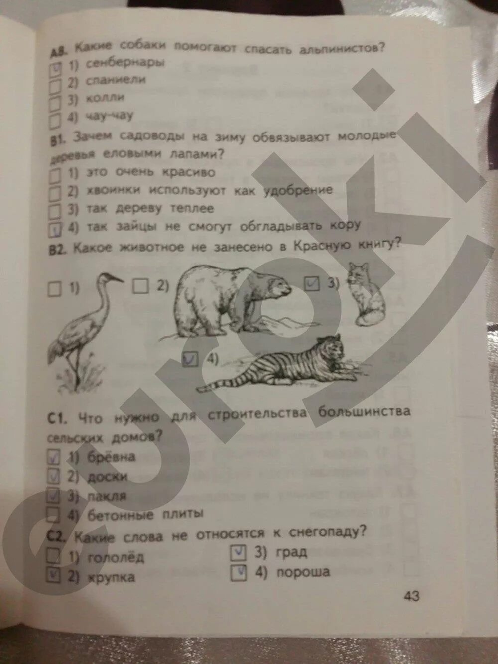 Тест яценко 4 класс тесты яценко. Тесты по окружающему миру 2 класс яценко. яценко окружающий мир 2 класс контрольно-измерительные материалы.