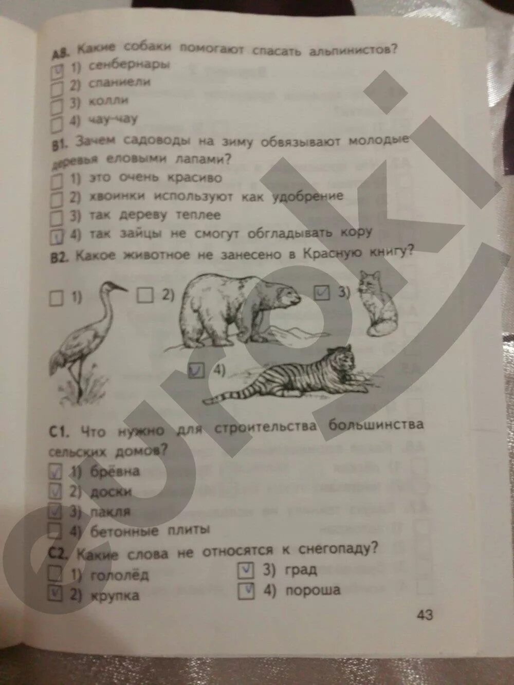 Тест по окружающему яценко. Тесты по окружающему миру 2 класс Яценко. Яценко окружающий мир 2 класс контрольно-измерительные материалы.