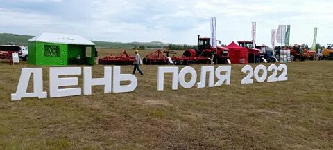 День поля в 1