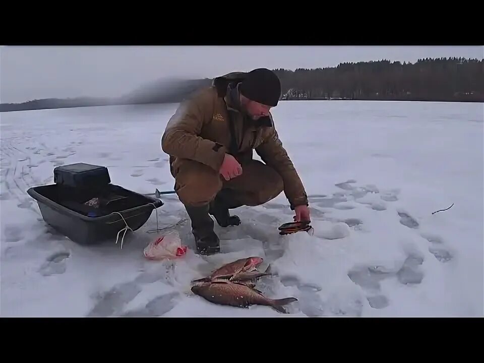 Рыбалка Ока 2024 зима лещ. Рыбалка на Волгоградском водохранилище зимой 2023. Мормышка колокольчик для зимней рыбалки. Лещ на поливах зимой. Рыбалка 62 рязань