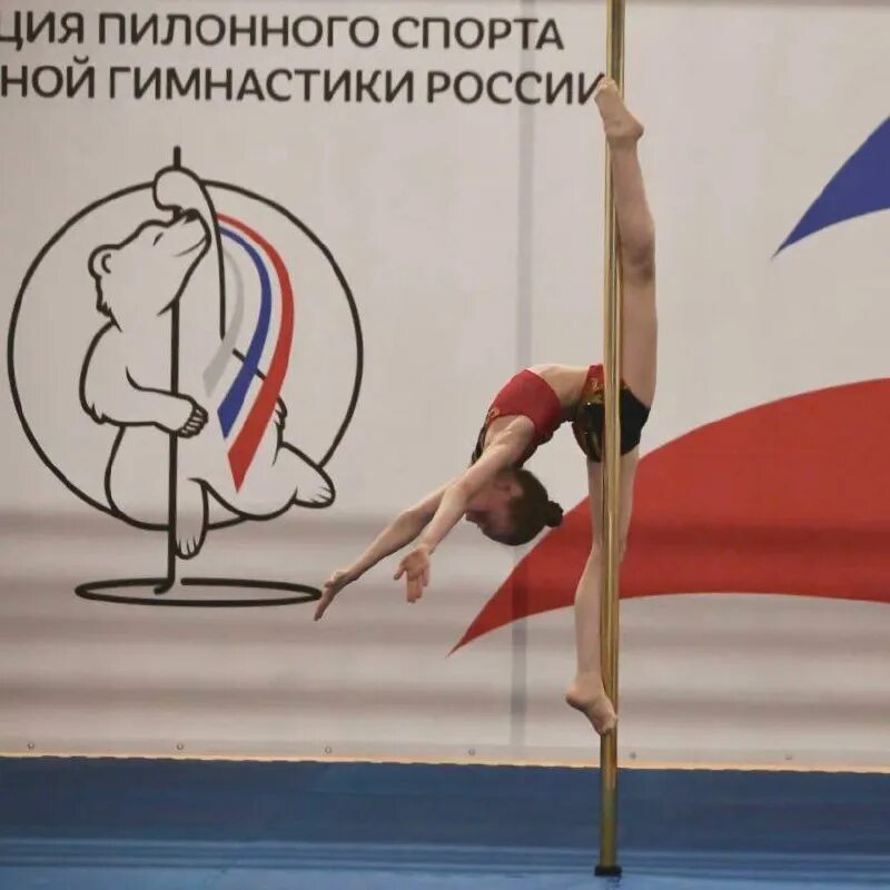 Федерация пилонного спорта