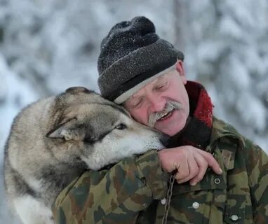 Кормить волка с руки