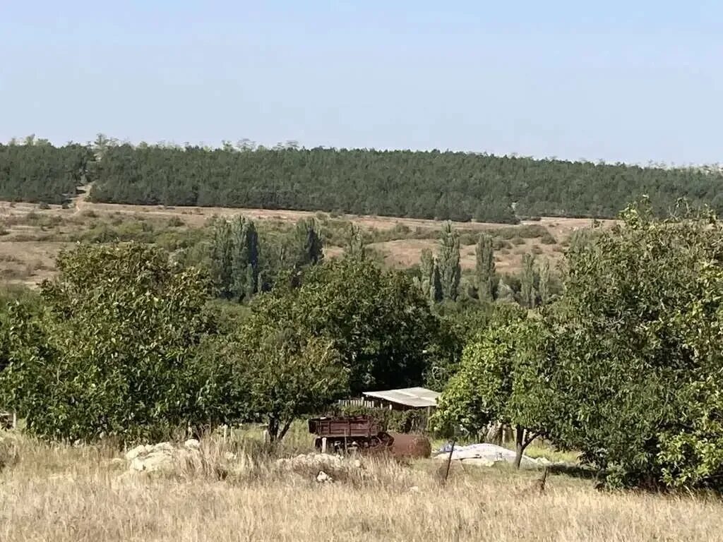 Погода донское симферопольский