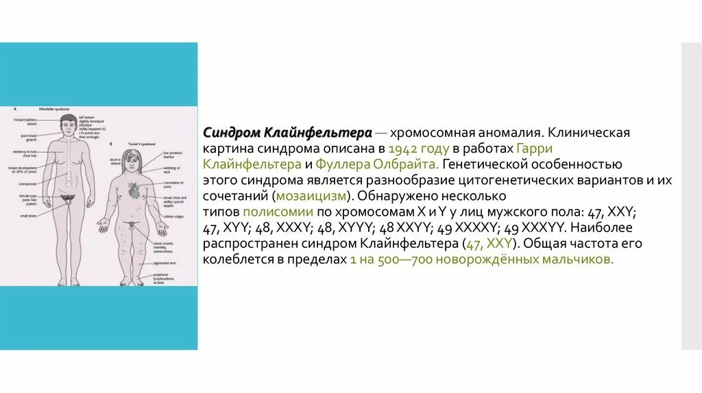 Синдром Клайнфельтера (у мужчин 47 хромосом -ХХУ). Xxy синдром Клайнфельтера. Основные клинические симптомы синдрома Клайнфельтера:. Генетические заболевания синдром Клайнфельтера.